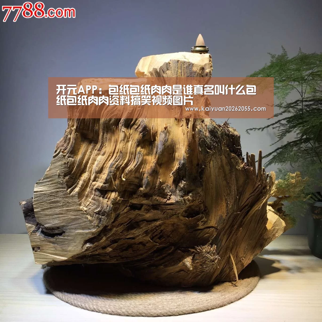 开元APP:包纸包纸肉肉是谁真名叫什么包纸包纸肉肉资料搞笑视频图片(图2) 开元登录