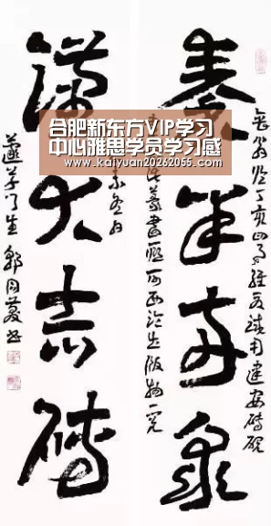 合肥新东方VIP学习中心雅思学员学习感言:开元体育(图4) 开元棋牌
