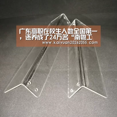 广东高职在校生人数全国第一,还养成了24万名“南粤工匠”:开元体育(图2) 开元体育