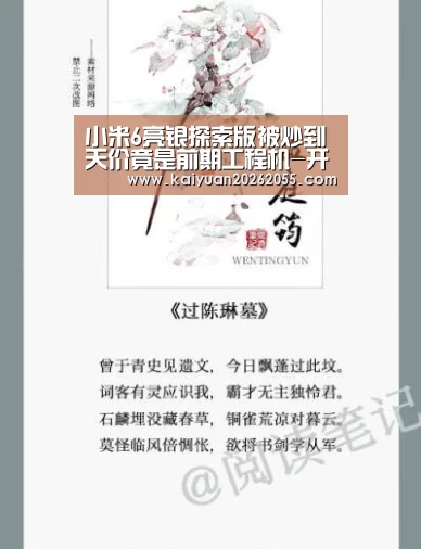 小米6亮银探索版被炒到天价竟是前期工程机-开元体育(图2) 开元棋牌