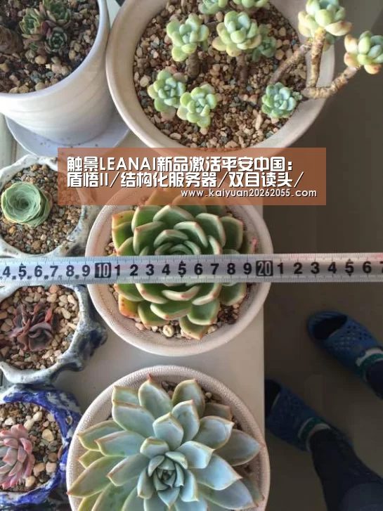 开元体育