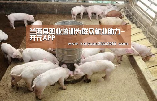 兰西县职业培训为群众就业助力-开元APP(图1) 开元体育