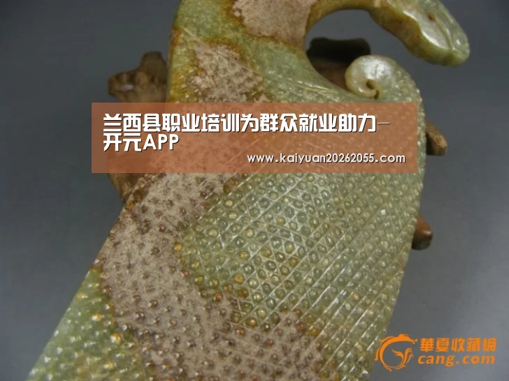 兰西县职业培训为群众就业助力-开元APP(图4) 开元棋牌