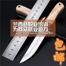 兰西县职业培训为群众就业助力-开元APP(图2) 开元登录