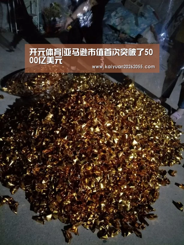 开元体育|亚马逊市值首次突破了5000亿美元(图2) 开元体育