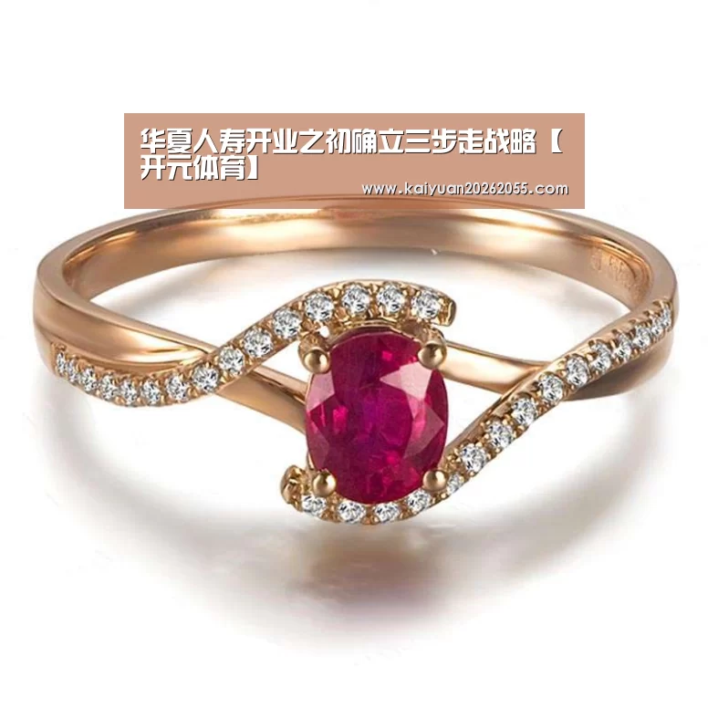 华夏人寿开业之初确立三步走战略【开元体育】(图1) 开元登录