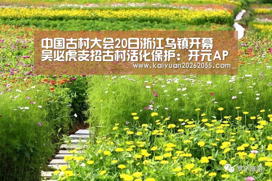 中国古村大会20日浙江乌镇开幕 吴必虎支招古村活化保护:开元APP(图4) 开元APP