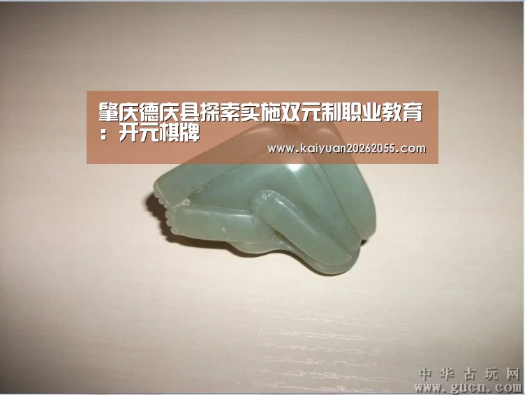 肇庆德庆县探索实施双元制职业教育:开元棋牌(图1) 开元棋牌